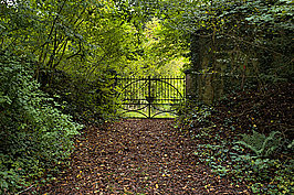 Bernhard Saalfeld - Spessart (1v9)